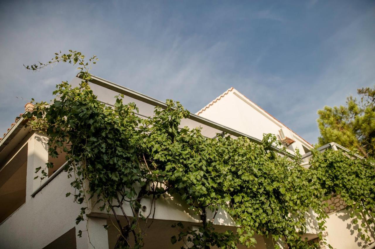 Guesthouse Sime Kolan Exteriér fotografie